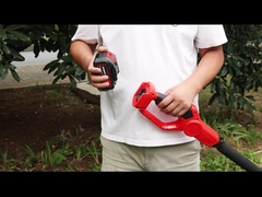 टेलीस्कोपिक पोल चेनसाग