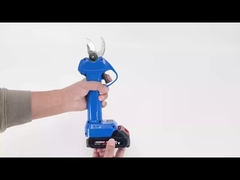 ऑस्टन एईएस20-3 प्रूनर