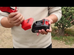 ऑस्टन एईएस20-4 प्रूनर