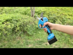 ऑस्टन एईएस30-3 प्रूनर