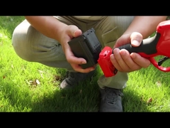 ऑस्टन एईएस40-4 प्रूनर