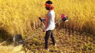 ऑल इन वन गैसोलीन ब्रश कटर और गार्डन टूल