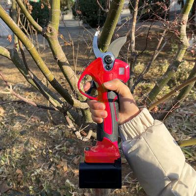Long Reach Telescopic Pole Pruner Rechargeable Garden Tree Trimming Tools ODM OEM