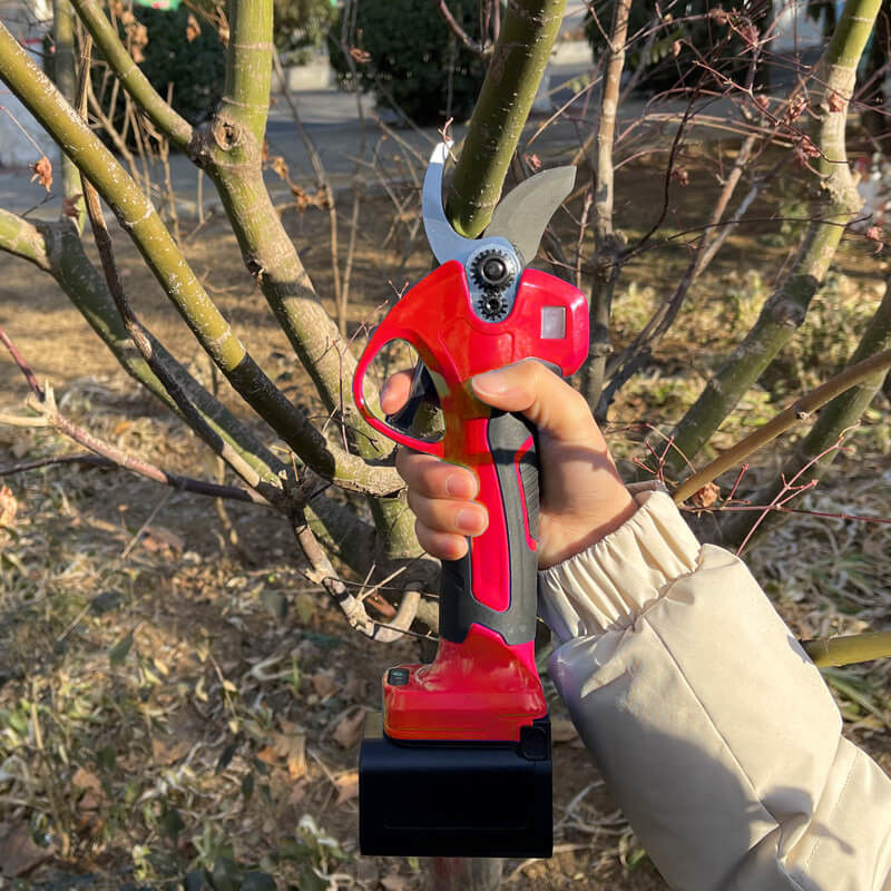 Long Reach Telescopic Pole Pruner Rechargeable Garden Tree Trimming Tools ODM OEM