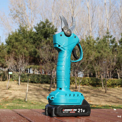 पेशेवर छँटाई कतरनी इलेक्ट्रिक छँटाई शाखा कटर,ब्रशलेस 25V Cordless छँटाई कतरनी